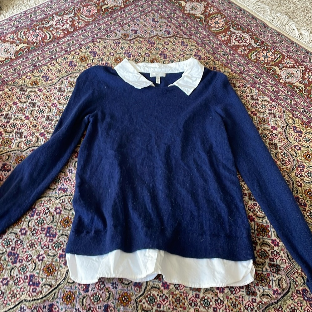 Cashmere Joie Sweater/shirt